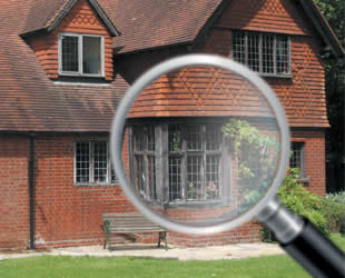 Red Kite Home Buyer Building Surveys